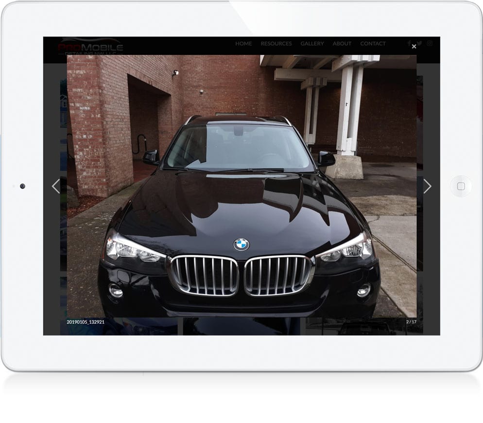 Pro Mobile Detailing