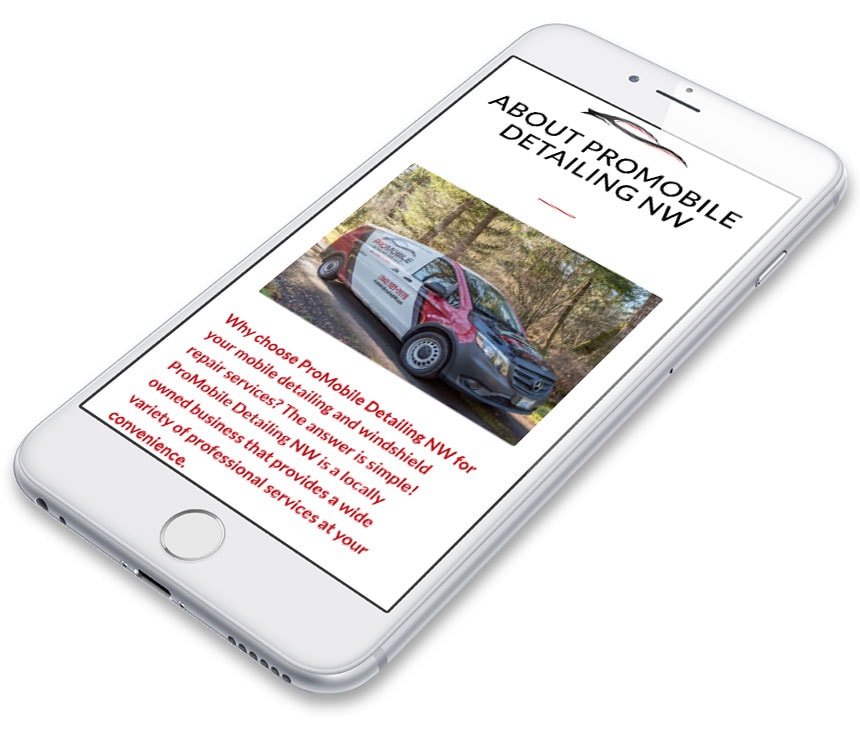 Pro Mobile Detailing