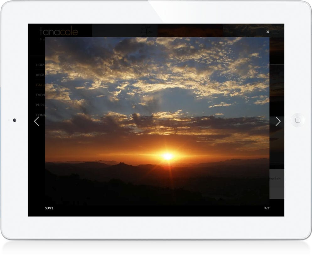 Tana Cole Photography